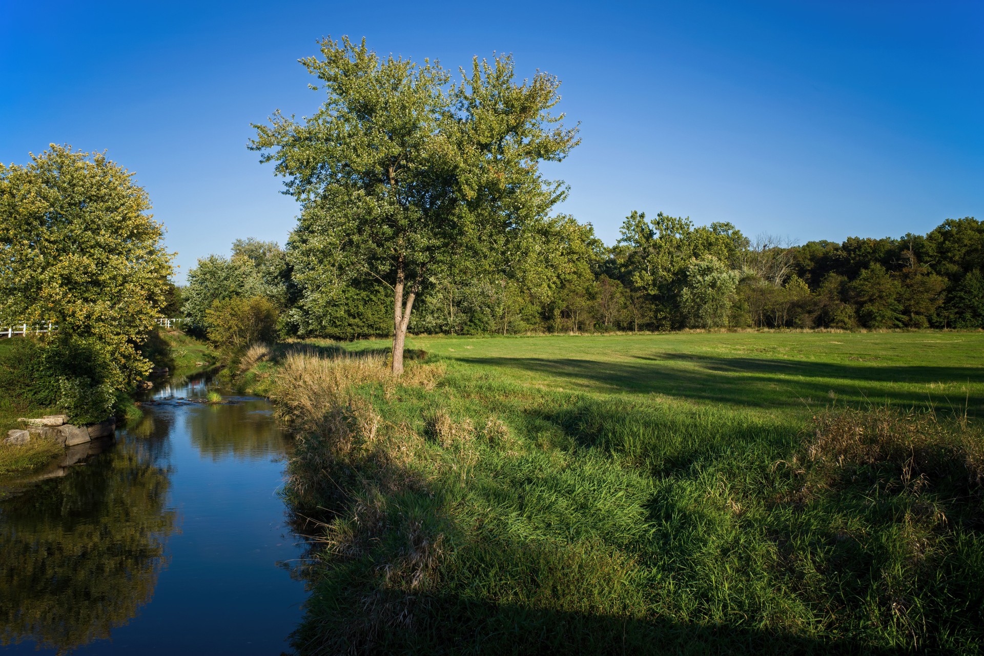 Live streaming: Use of IoT for water quality monitoring