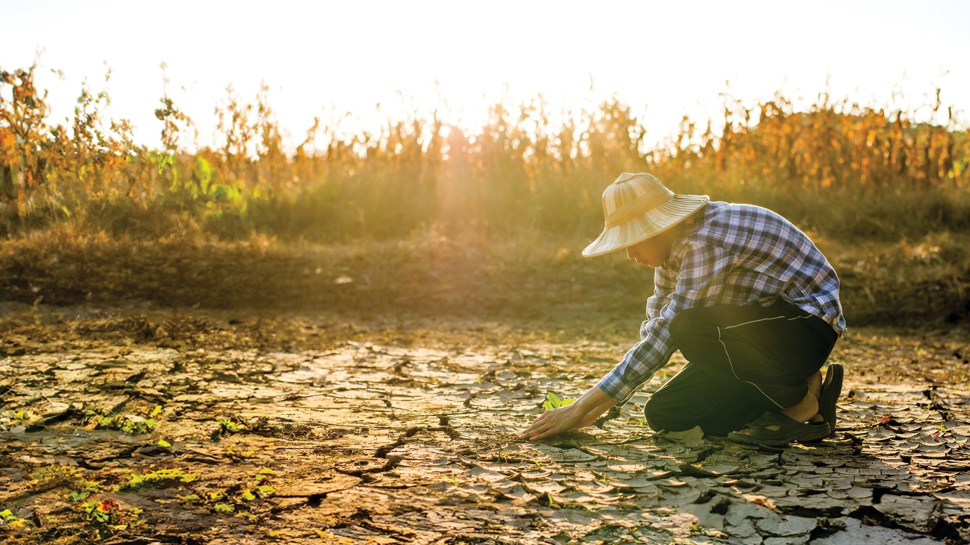 Data-governed solutions for unprecedented sustainability challenges